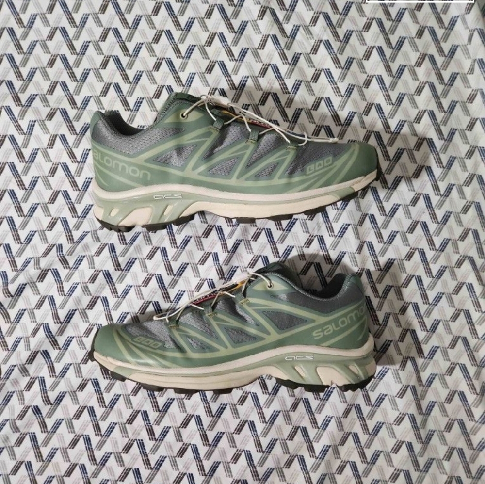 Salomon Xt6 Laurel Wreath